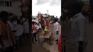 Horse dancing to the rhythm of dhol: Only in India #shotrs #viral #yt #trending #youtubeshorts