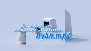 Почему котикам компьютеры не нравятся - nyan mp3 (текст песни)