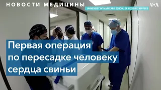 В США провели первую в мире операцию по пересадке сердца свиньи человеку