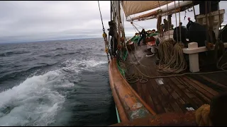 Sailing Falmouth Pilot Cutter Pellew