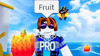 The Roblox Blox Fruits Experience 2