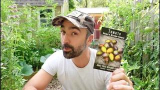 Variety Spotlight: Brad's Atomic Grape Tomato