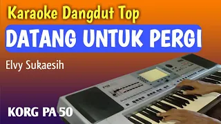 Datang Untuk Pergi - Karaoke Dangdut Tanpa Vokal - Elvy Sukaesih