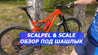 Обзор Scott Scale и Cannondale Scalpel под шашлык