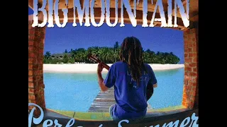 Big Mountain    Here Comes the Sun Reggae Remix   2016