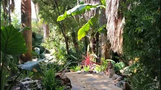 ¿Quiere que su jardín sea como una selva? 🦜🌿🌴 no se preocupe, nosotros se la hacemos