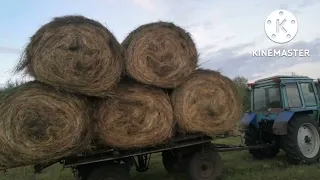 Перевозка сена, небольшое фиаско