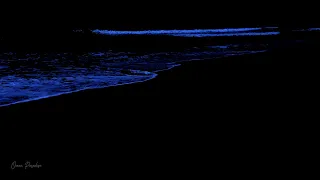 Calm Your Anxiety to Fall Asleep with Ocean Sounds and Rolling Waves on a Dark Night
