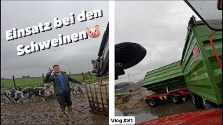 Besuch vom Veterinäramt | Es hört nicht auf zu Regnen | Farmvlog #81