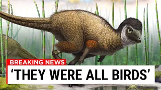 The Most DANGEROUS Dinosaurs Had Feathers..