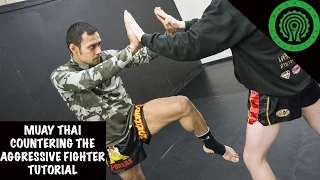 Muay Thai Countering the Aggressive Fighter Tutorial