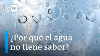 ¿Por qué el agua no tiene color, sabor, ni olor? | DW Visión futuro