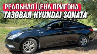 ГАЗОВАЯ СОНАТА ИЗ КОРЕИ. ЦЕНА ПРИГОНА АВТО