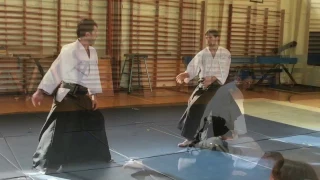 Dimitri Crenier (6th Dan Aikikai) teaching in Ashburton, Devon