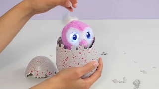 Top 5 Things to Know about hatching your Hatchimal