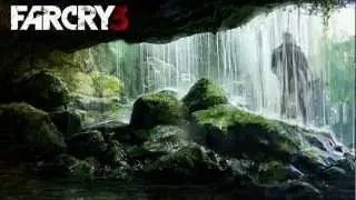 FARCRY 3 Collectible Relic 22 Spider 22 Walkthrough