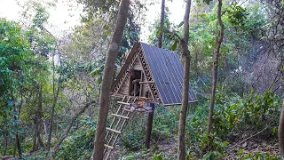 Build A-Frame Tree Shelter In Wildlife, Food Cooking