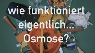 wie funktioniert eigentlich... OSMOSE?