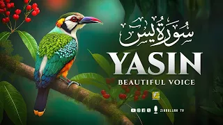Surah Yasin (Yaseen) سورة يس | Wonderful Relaxing Heart Touching Voice | Zikrullah TV