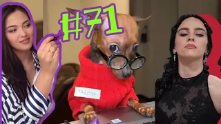 Memes & music #71 2024 | На пів смішні і цікаві відео приколи з Instagram і музикою | Tiktok