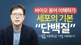 바이오 용어가 어려운가요? 단백질만 이해하세요! | 알바킹이해진