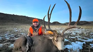 Mega Mule Deer With A TRACKING COLLAR {Catch Clean Cook}