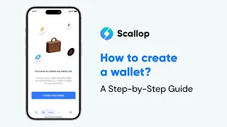 How To Create A Wallet In The Scallop App