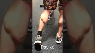 I Trained Calves Everyday For 30 Days 🍗
