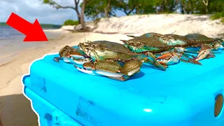 MONSTER Blue CRAB Catch, Clean, Cook!!!
