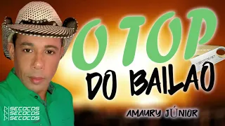 AMAURY JUNIOR - TOP DO BAILÃO SO PRA DANÇAR