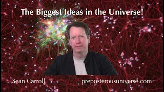 The Biggest Ideas in the Universe | Q&A 23 - Criticality and Complexity