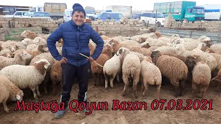 #qoyunbazari2021 Mastaga Qoyun Bazari07.03.2021 #mastagaqoyunbazari2021 #qoyunbazari #qoyunquzu#quzu