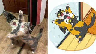 面白い動物のビデオ：愚かな猫はあなたを笑わせるでしょう 面白い猫