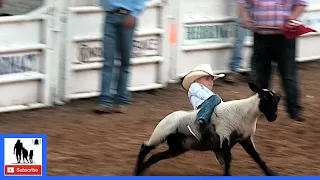 Mutton Bustin' 🦙 2021 Saint's Roost Ranch Rodeo | Saturday (Censored)