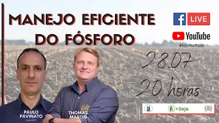 AO VIVO - Manejo Eficiente do Fósforo