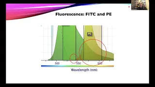 OpenFlow: Multicolor Flow With Compensation Using a CytoFLEX LX