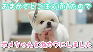 ♡激カワ♡ポメちゃんのくまさんカット♪【墨田区両国・台東区蔵前エリアのトリミングサロン　Dog Salon PAPA】　　2020/6/②