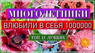 Эти ШИКАРНЫЕ  Многолетники 💕 ПОКОРИЛИ Сердце МИЛЛИОНОВ Садоводов