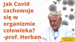 COVID-19: prof. Andrzej Horban - Jak wirus zachowuje się w organizmie człowieka?