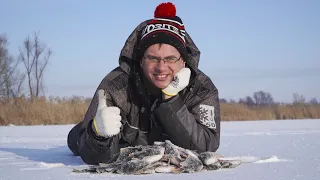 Дядя Фёдор в поисках окуня. Заколдованные лунки сделали рыбалку!