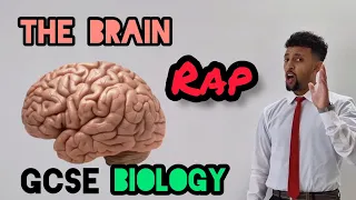 Science Raps: GCSE Biology - The Brain