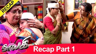 Naayagi Mega Recap 1, 22/07/2020