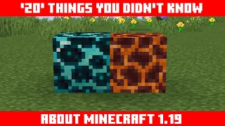 20 Things You Didn't Know About Minecraft 1.19 !🔥 | The Wild update