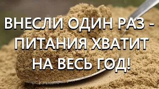 Внесли один раз в почву - питания хватит на весь год!