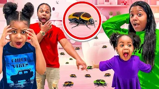 We FOUND BUGS In LAIYA room On NEW YEARS  🪲😱| LAIYAFACE