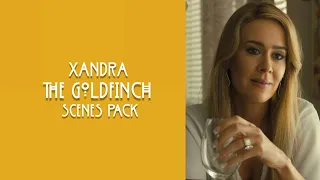 Xandra Scenes Pack || The Goldfinch