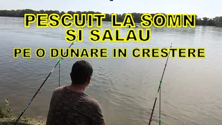 Pescuit la Somn si Salau pe o Dunare in crestere!