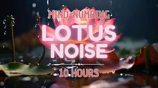 Mind-numbing Lotus Noise - 10 Hours | Study, Sleep, Tinnitus Relief and Focus | BLACK SCREEN