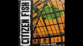 Citizen Fish ‎(UK) – Free Souls In A Trapped Environment LP (1990) [VINYL RIP] *HQ AUDIO*