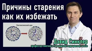 Причины старения и пути их устранения. Профессор Дэвид Синклер о современных методах омоложения